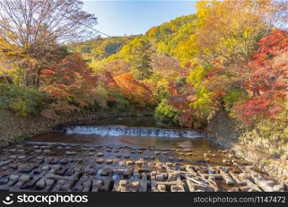 Red maple leaves or fall foliage in colorful autumn season near waterfall at Ruriko-in temple, Kyoto. Trees in Japan with blue sky. Nature landscape background.