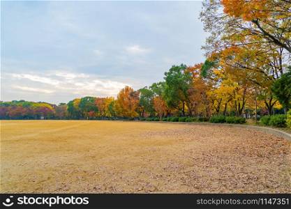 Red maple trees skyline in park garden with grass field. Leaves or fall foliage in colorful autumn season in Kyoto City, Kansai. Trees in Japan. Nature landscape background.