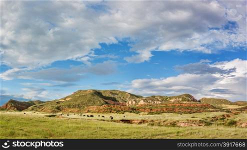 Red Mountain Open Space panorama - mountain ranch landscape in northern Colorado near Fort Collins, summer scenery