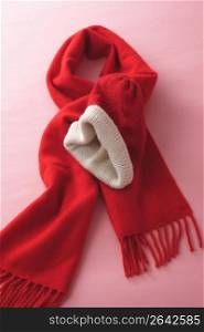 Red muffler and Knit cap