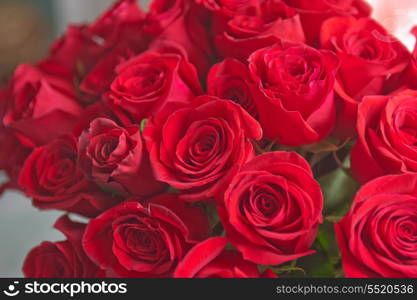 red natural roses background