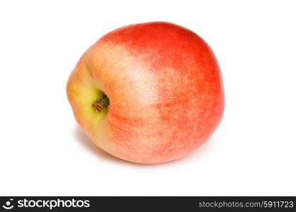 Red nectarine isolated on the white background