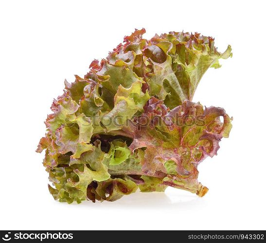 Red oak lettuce on white background