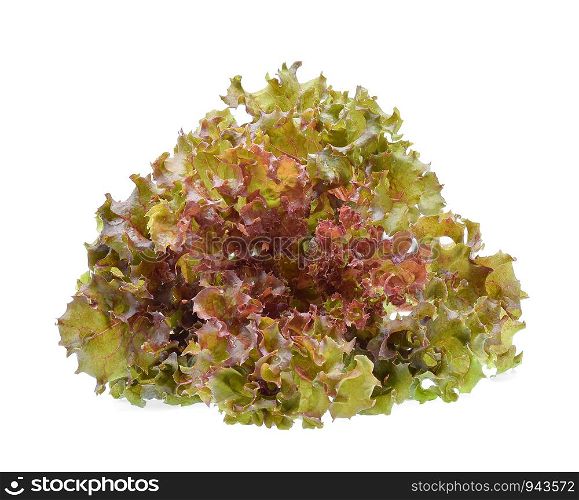 Red oak lettuce with water drops on white background.