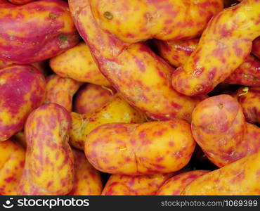 Red Olluquito. Peruvian tuber for sale at the Farmers Market