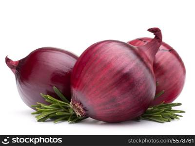 red onion and rosemary leaves isolated on white background cutout