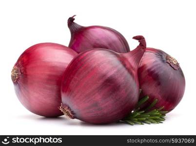 red onion and rosemary leaves isolated on white background cutout