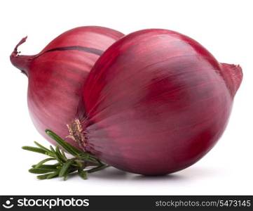 red onion and rosemary leaves still life isolated on white background cutout