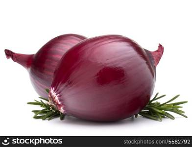 red onion and rosemary leaves still life isolated on white background cutout