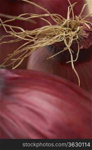 Red onion, close-up