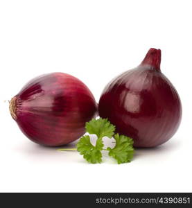 Red onion tuber and fresh parsley isolated on white background