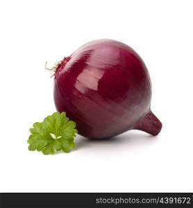 Red onion tuber and fresh parsley isolated on white background