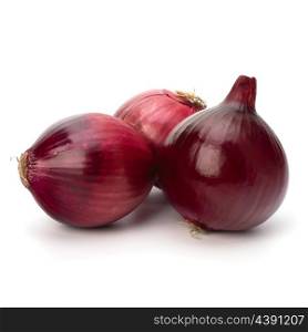 Red onion tuber isolated on white background