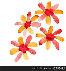 Red-orange watercolor flowers isolated over the white background