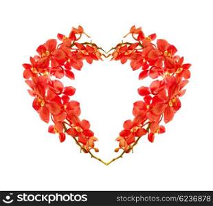 Red orchid flower heart, natural floral symbol isolated on white, love concept