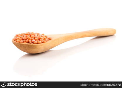 Red organic lentils in wooden spoon isolated on white background