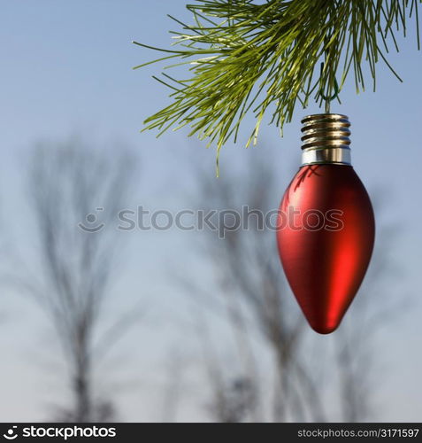 Red ornament hanging on Christmas tree branch winter trees in background.