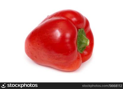 Red paprica isolated on the white background