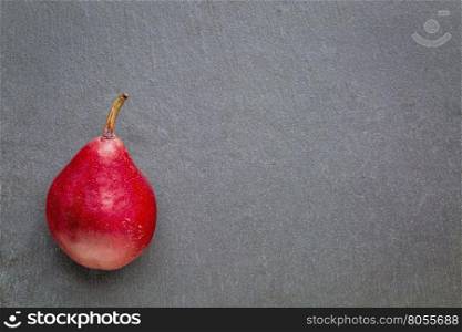 red pear on a gray slate stone background with a copy space