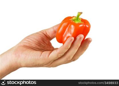 red pepper in hand solated on white background