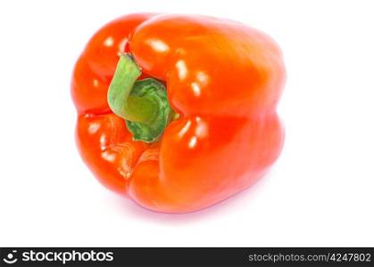 red pepper isolated on a white background