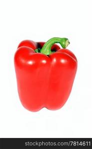 Red pepper on the white background. (isolated)