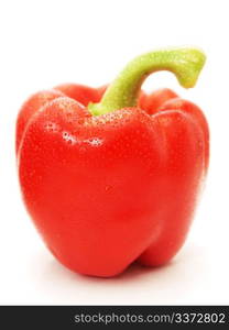 Red pepper. Red pepper vegetable, whole, closeup towards white background