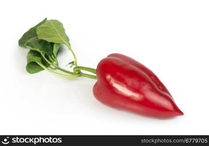 Red peppers and leaves.White isolated studio shot