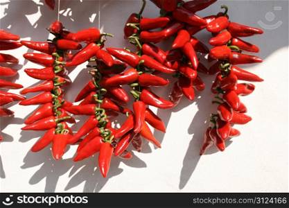 red peppers bunch drying on a wall. drying pepper bunches
