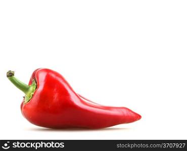 Red Peppers Isolated On White. Red Peppers
