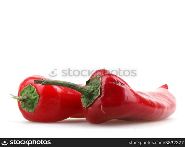 Red peppers on white background