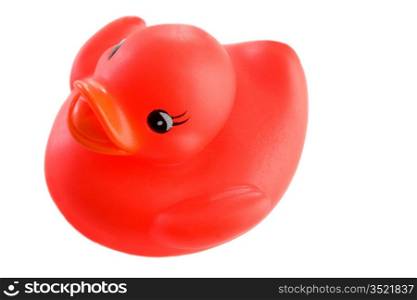 Red plastic duck a over white background