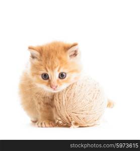Red playful kitten with beige ball of yarn isolated on white. playful kitten