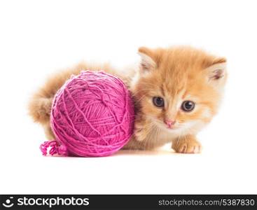 Red playful kitten with purple ball of yarn, is lying on white
