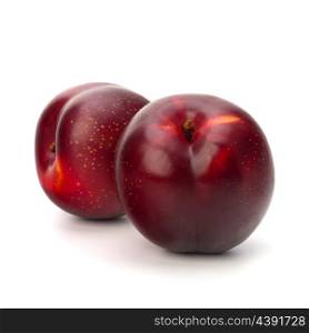 Red plum fruit isolated on white background