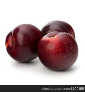 Red plum fruit isolated on white background