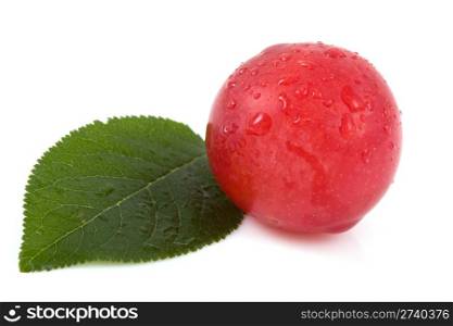 Red plums isolated on a white