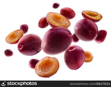 Red plums levitate on a white background.. Red plums levitate on a white background