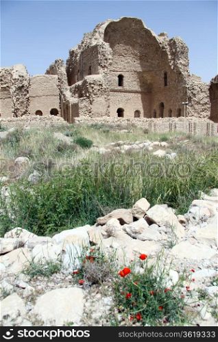 Red poppy, green grass and ruins of Ardeshir&rsquo;s palace in Firuz Abad