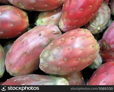 Red prickly pear, delicious tropical fruit