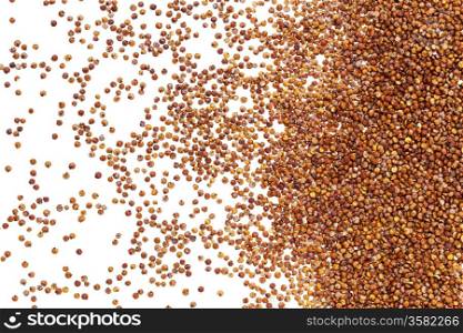 red quinoa grain spread on white background with backlight - top view