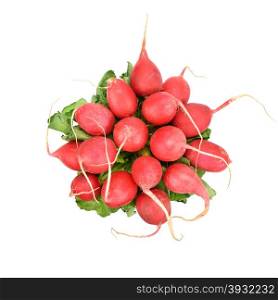 Red radish isolated on white background