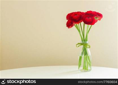 red ranunculus flowers in glass vase on empty white table with copy space. red ranunculus flowers