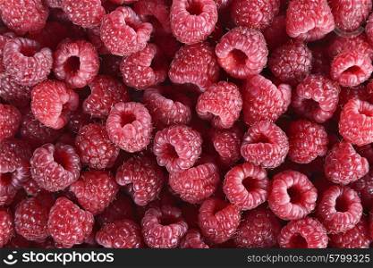 Red Raspberries ,Close Up For Background