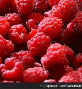 red raspberry background macro close up