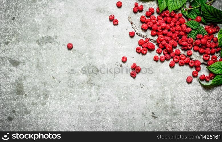 Red raspberry with leaves. On a stone background.. Red raspberry with leaves.