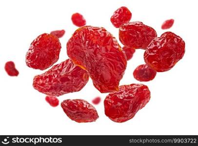 Red red dogwood isolated on white background. Dried dogwood berries levitate on a white background