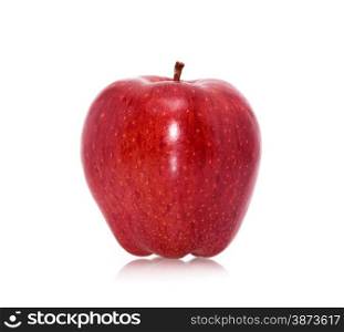 Red ripe apple on white