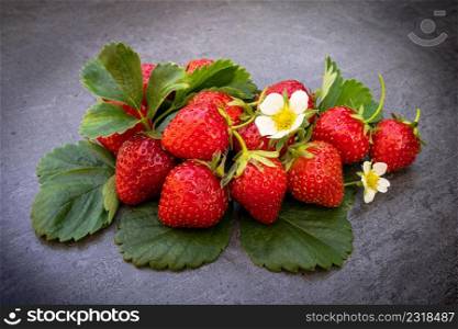 Red ripe strawberries with leaves over dark background. Ripe red strawberries over dark