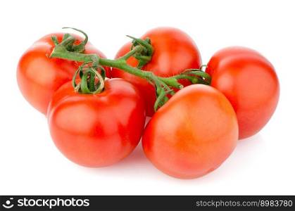 Red ripe tomato vine isolated on white background.